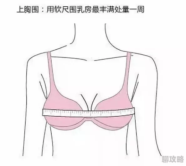 男人喜欢一只手能握满的胸围吗网络调查显示并非所有男性都认同此说法