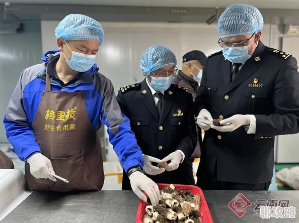 x9x9x9x9任意槽2024进口蘑菇已完成原产地采购进入海关检验检疫环节