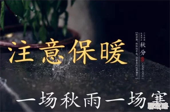 顾初暖夜景寒全文免费阅读情节老套文笔幼稚浪费时间更新慢