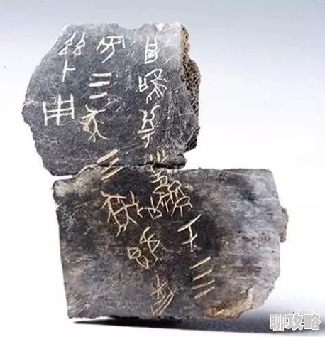 坐实by甲骨最新考古发现证实商代甲骨文已有“坐”字记载