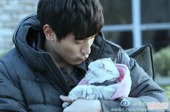 遇见王沥川电视剧免费观看全集剧情沥川往事经典再现高清纯享版限时回归 遇见王沥川电视剧免费观看全集剧情沥川往事经典再现高清纯享版限时回归