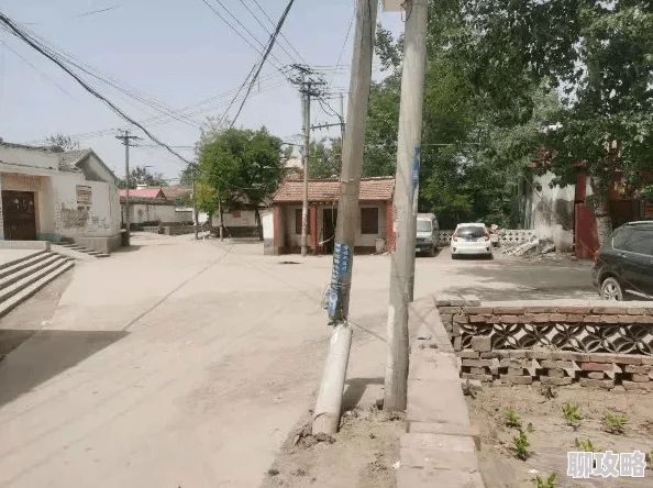 灵魂撕裂：深度解析四大角色类型，网友热议角色熟知度