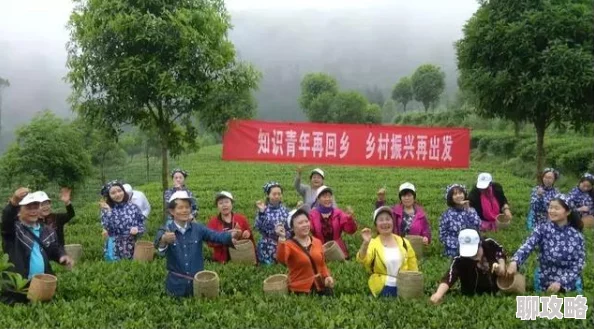 秦雨老旺乡村振兴背景下返乡创业青年的生活与挑战