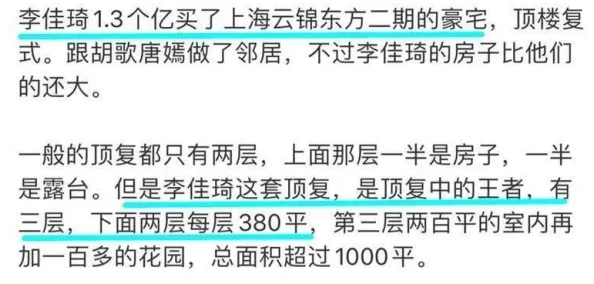 曰批全过程又爽又大又黄：从网络迷因到亚文化现象的传播路径与影响分析