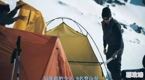 岌岌可危夏小正纪录片揭露惊人真相引发网友热议