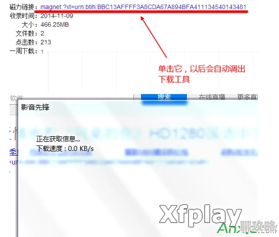 影音先锋5566夜色资源网内容安全性与合法性待核实用户需谨慎甄别