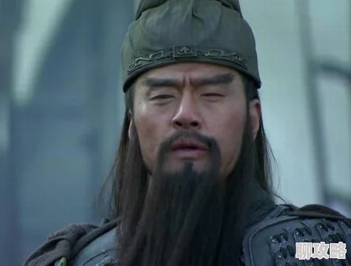 网友热议：五虎战将手游黄盖属性技能全解析，一代名将黄盖的辉煌再现