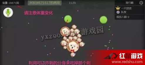 球球大作战:网友热议的奇妙宝箱正确解锁方法全分享 球球大作战:网友热议的奇妙宝箱正确解锁方法全分享