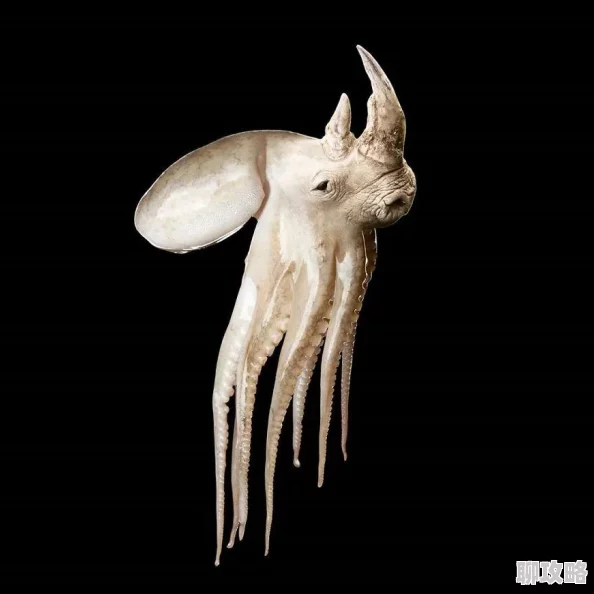 网络流行语ps是什么意思现在也指photoshop软件或图片处理