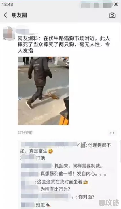 虐乳女惨叫vk曝光令人发指的虐待视频吁请网友提供线索共同抵制网络暴力