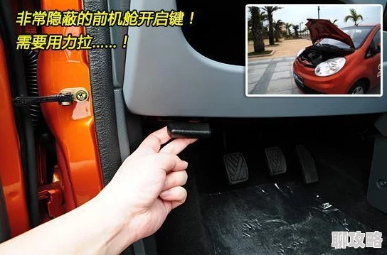 男人的伸到男人里展现男性之间复杂关系的亲密举动与权力动态