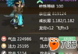 大话西游手游孔雀明王加点攻略：网友热评推荐详解与技巧分享