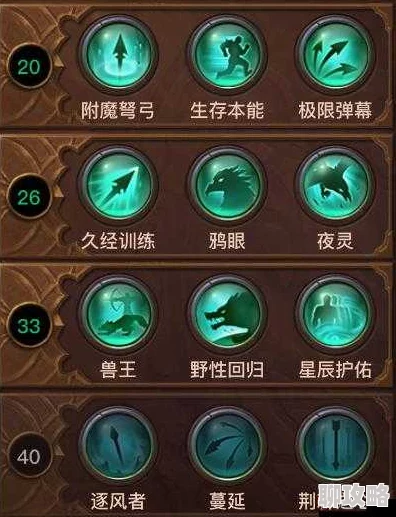 光明大陆游侠：深度技能搭配解析与高效升级攻略，网友热评推荐