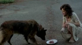 疯狗电影下载原名恶犬疯劫下载资源已失效谨防诈骗