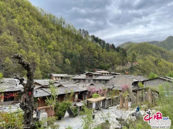 精品伊人为何如此火爆因为它提供了一种全新的娱乐方式