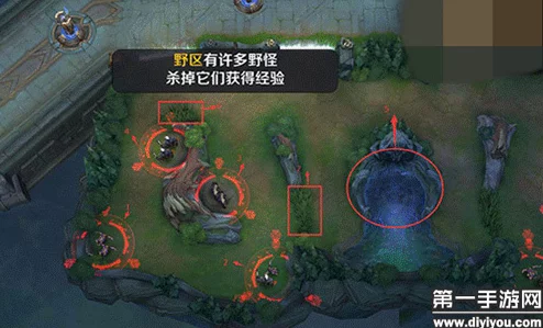 王者荣耀3v3野区深度分析及高效打法攻略，网友热评实战技巧汇总