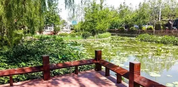 婷婷综合为何资讯丰富全面一站式解决信息需求因此备受欢迎