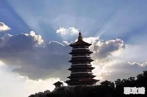 网友热议：逍遥吟手游高战力必备伙伴全解析与评价