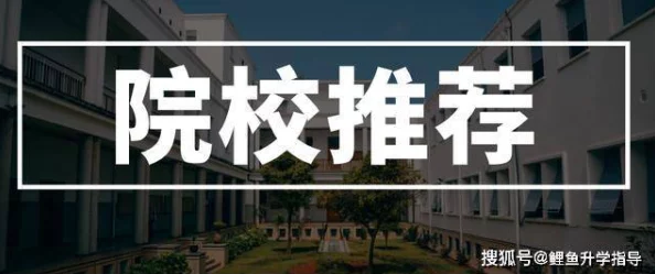 缅北在线观看www网站入口为什么资源丰富更新迅速为何备受青睐