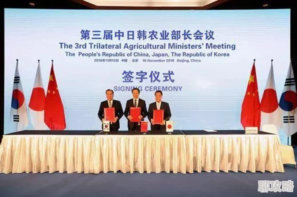 日韩精品一二三为什么贴近生活引发共鸣为何好评如潮