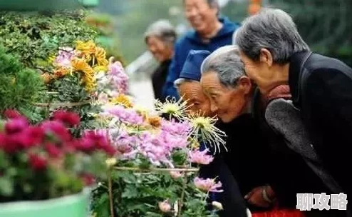 网友热议：三国杀传奇中倾城技能优劣全解析
