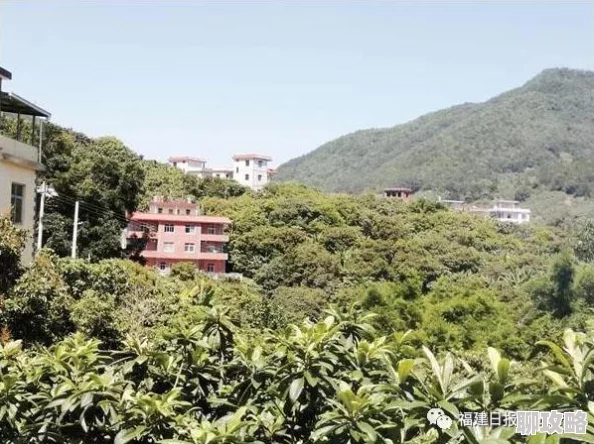 久久久香蕉为什么多种吃法创意无限为何风靡一时