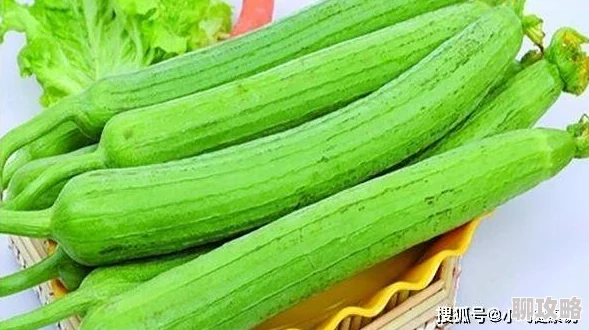 为何91无限看丝瓜苏州晶体公司肌肌资源丰富更新及时深受用户喜爱