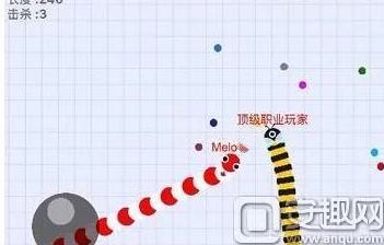 网友热议：贪吃蛇大作战中鲜为人知的十大超有趣冷门知识揭秘