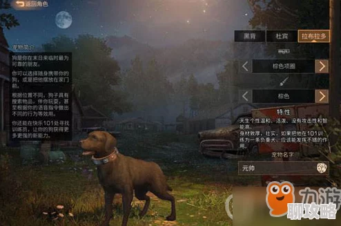 网友热议：明日之后游戏中狗的三大实用功能及作用效果全解析