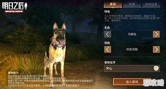 网友热议：明日之后游戏中狗的三大实用功能及作用效果全解析