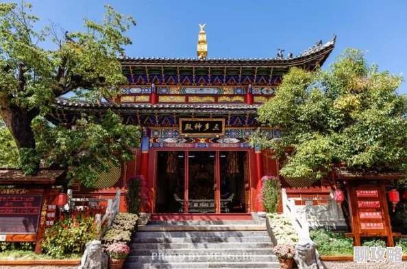 网友热议:不思议迷宫雪山神庙玩法内容深度全解析与评价 网友热议:不思议迷宫雪山神庙玩法内容深度全解析与评价