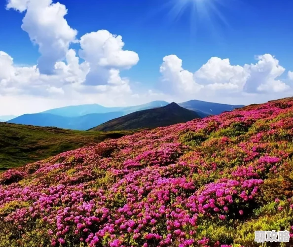 网友热议:不思议迷宫雪山神庙玩法内容深度全解析与评价 网友热议:不思议迷宫雪山神庙玩法内容深度全解析与评价