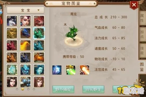 问道手游60级装备与宝宝装备制作全攻略,详细解析打造方法获网友好评 问道手游60级装备与宝宝装备制作全攻略,详细解析打造方法获网友好评