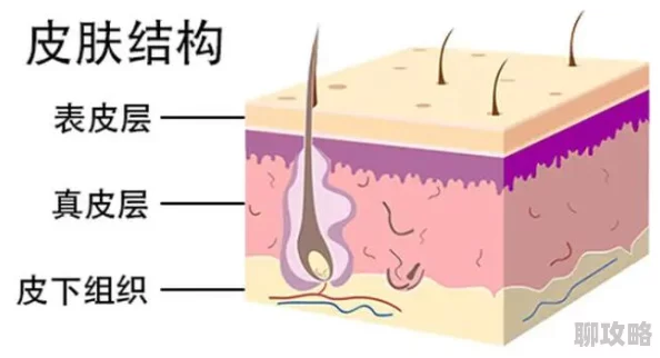 网友热议：炉石传说宇宙动物园，能打能奶的多面手新玩法！