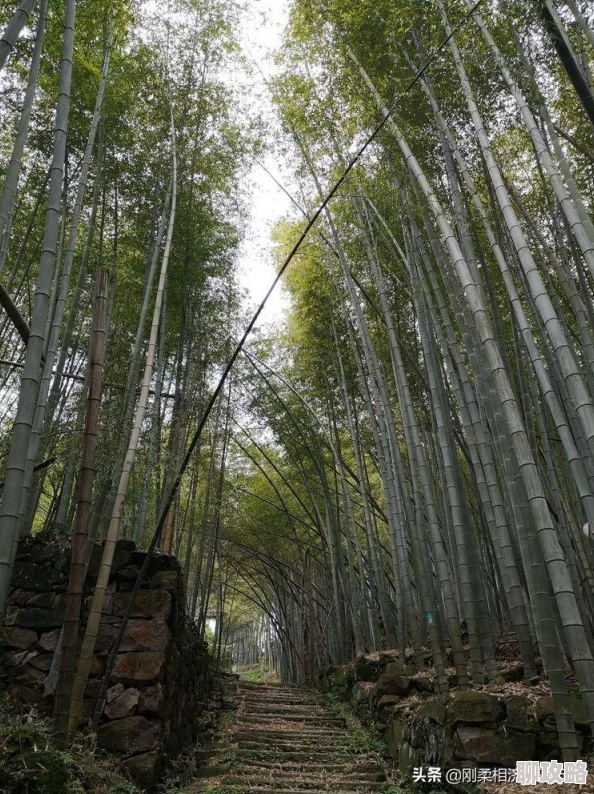 玩家下山游历规则详解：惩罚机制与必备指南分享，网友热议实用度