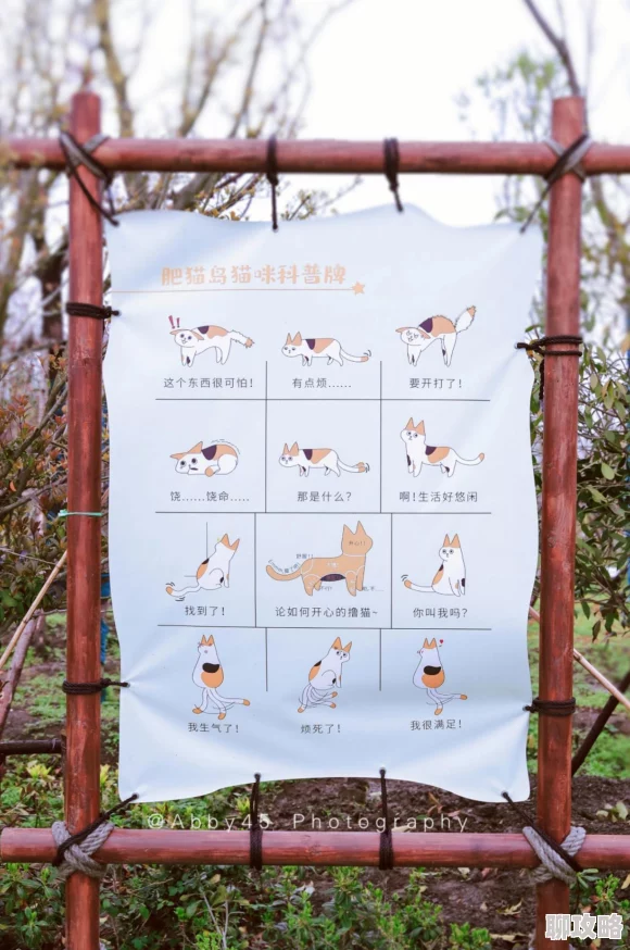天堂之心手游:新手玩家必备!快速升级指南深度解析获网友好评 天堂之心手游:新手玩家必备!快速升级指南深度解析获网友好评