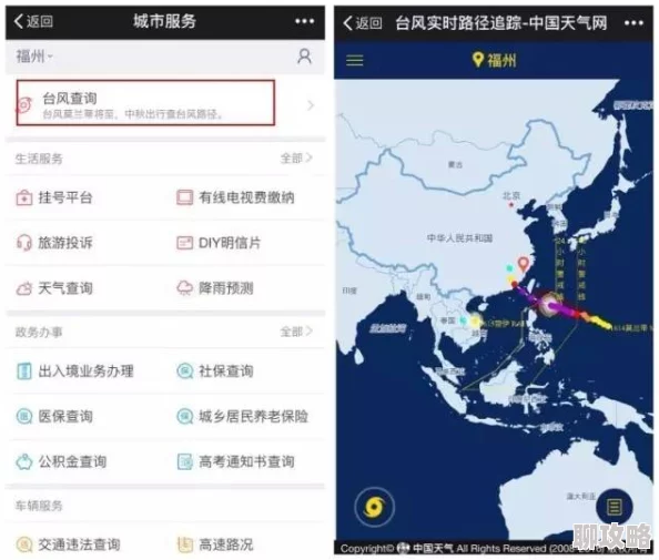网友热议：风暴英雄花村地图Timing与新战术运用技巧深度解析