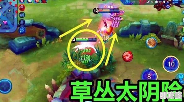 王者荣耀安琪拉实战技巧深度解析，全面攻略获网友好评推荐