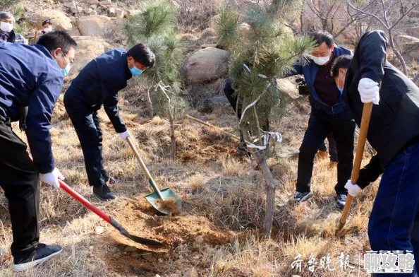 部落冲突10本种树攻略：越南玩家创新不规则绿树阵，网友热议布局智慧！