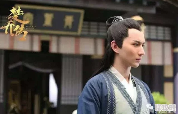 网友热议：特工皇妃楚乔传中魏舒烨属性技能全面解析与评价