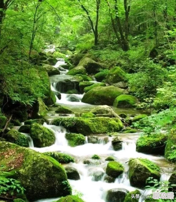 网友热议：战斗吧蘑菇君女神像瀑布精英怪位置全攻略解析