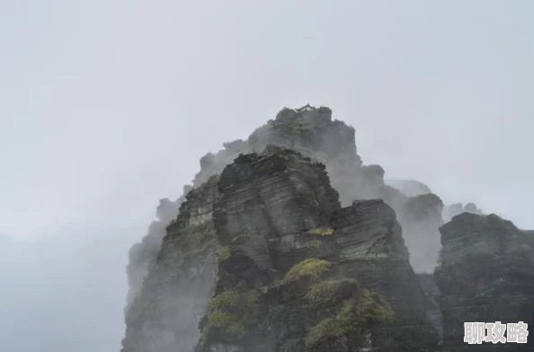 网友热议：战斗吧蘑菇君女神像瀑布精英怪位置全攻略解析
