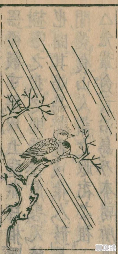 阴阳师手游深度解析：全面提升姑获鸟伤害，网友热评鸟姐伤害提升指南