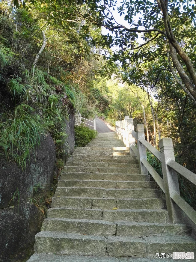 仙境传说RO手游2月14日深夜维护：法师技能调整引热议，玩家评价褒贬不一