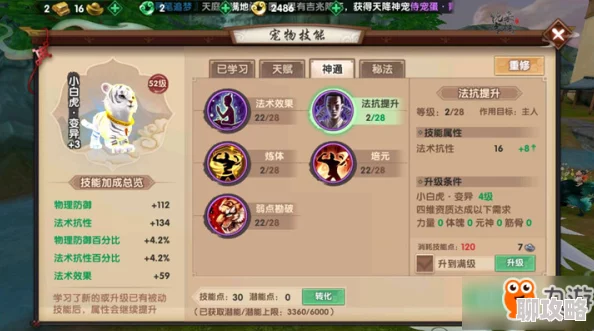 寻仙手游深度解析：宠物培养与选择技巧全攻略，网友热评实用指南