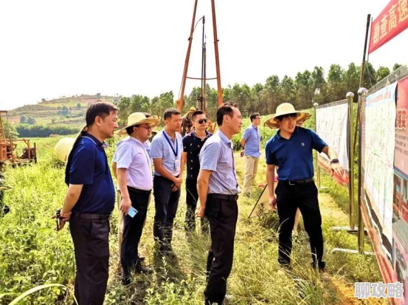 网友热议：星辰奇缘平民玩家前期高效升级指南与实用技巧
