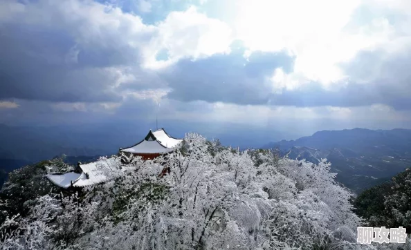 网友热议:梦幻西游手游欢乐打雪仗玩法规则全面深度分析 网友热议:梦幻西游手游欢乐打雪仗玩法规则全面深度分析