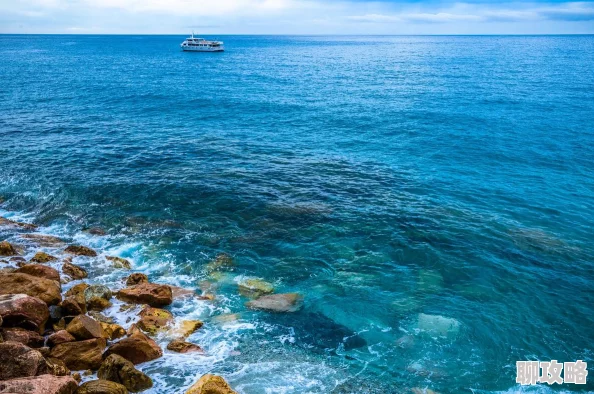 沙漠之花绽放元宇宙2025沉浸式虚拟体验惊艳亮相 沙漠之花绽放元宇宙2025沉浸式虚拟体验惊艳亮相