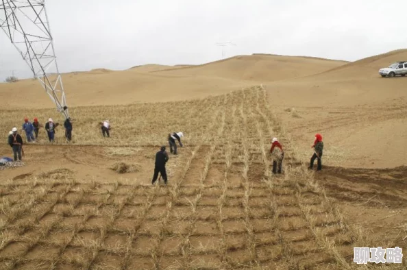 沙漠之花绽放元宇宙2025沉浸式虚拟体验惊艳亮相 沙漠之花绽放元宇宙2025沉浸式虚拟体验惊艳亮相