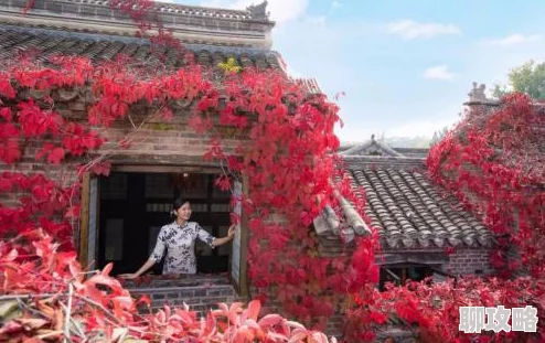 把腿先翘起来不用紧张2025元宇宙沉浸式瑜伽体验全新上线